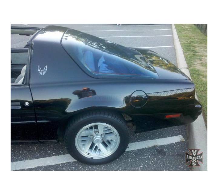 Pontiac Formula 350 Rear Quarter Panel Perdect 