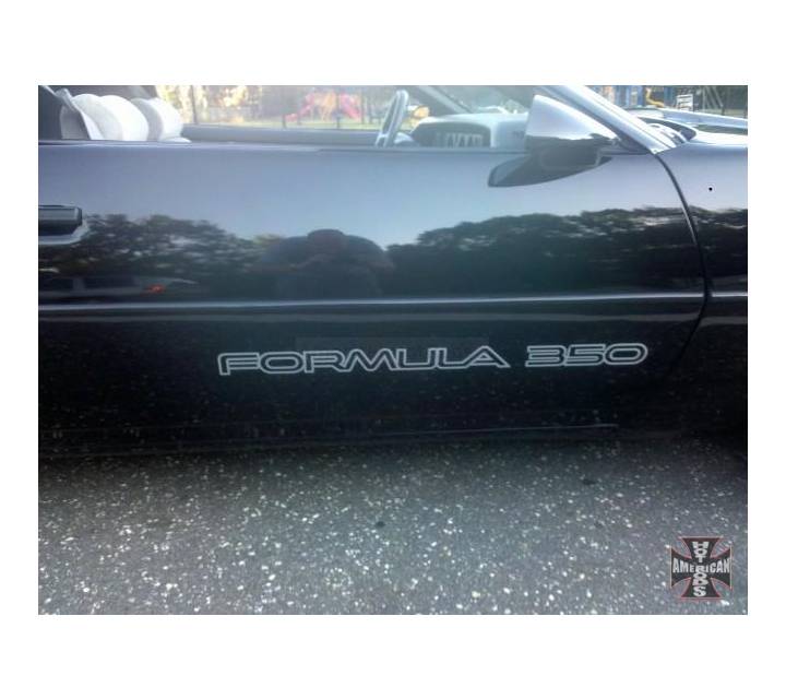 Passenger side perfect Door no dings/rust/dents