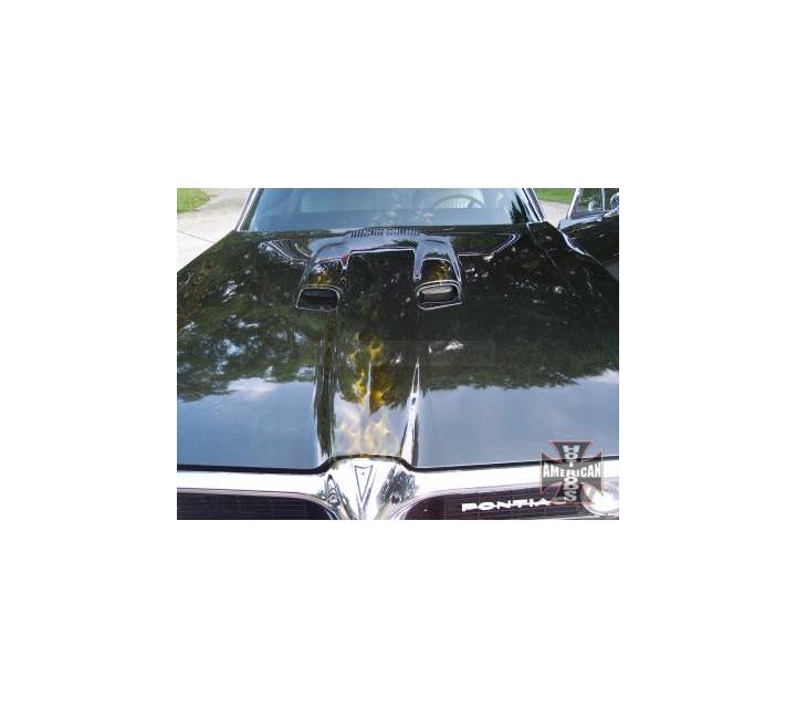ghost flames on front hood and air scoops